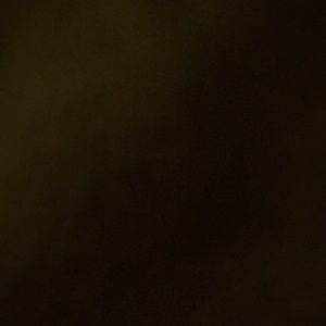 Meet your Posher, Violeta